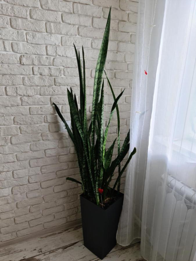 Prime Apartments Hrodna Eksteriør billede